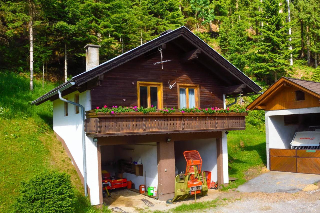 Gaestehaus Berger - Priglhof Hotel Treffen Exterior foto