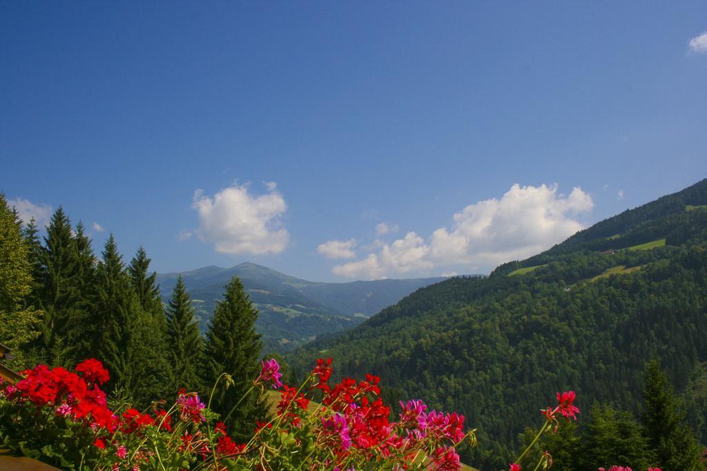 Gaestehaus Berger - Priglhof Hotel Treffen Cameră foto