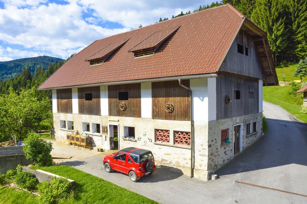 Gaestehaus Berger - Priglhof Hotel Treffen Exterior foto