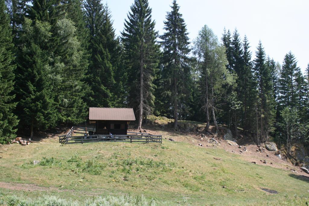 Gaestehaus Berger - Priglhof Hotel Treffen Exterior foto